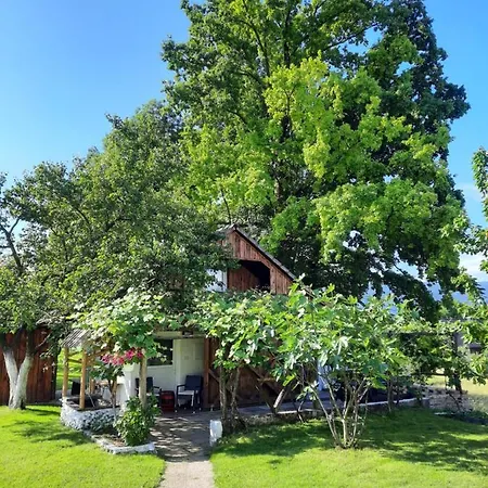 Apartament Ankl *