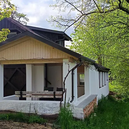 Ankl Apartament