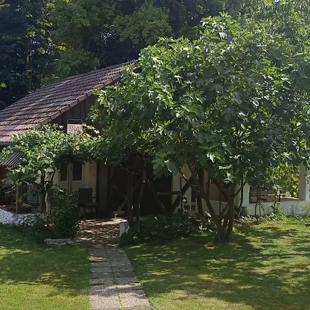 Ankl Lesce (Upper Carniola)