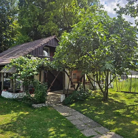Ankl Apartament Lesce (Upper Carniola)
